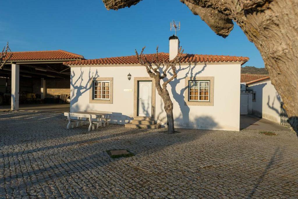 Quinta Sta Luzia Carrascal Villa Vila Flor Bagian luar foto